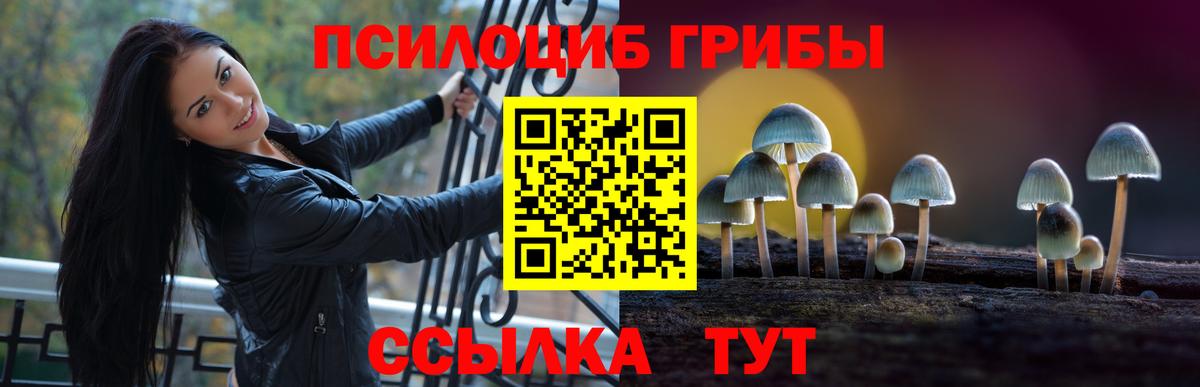 Белово  Псилоцибиновые грибы Magic Shrooms  Галлюциногенные грибы Psilocybine cubensis  Вход с VPN 
